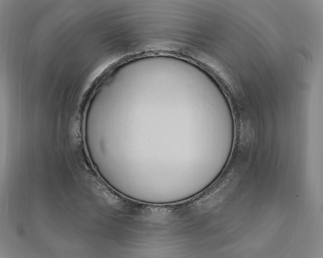 X0000110860878200906181139