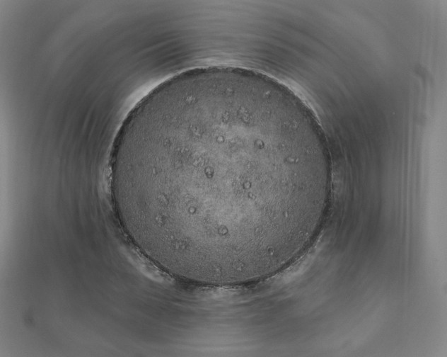 X0000110860879200906181139