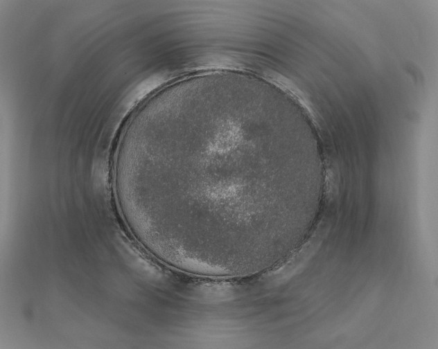 X0000110860882200906181139