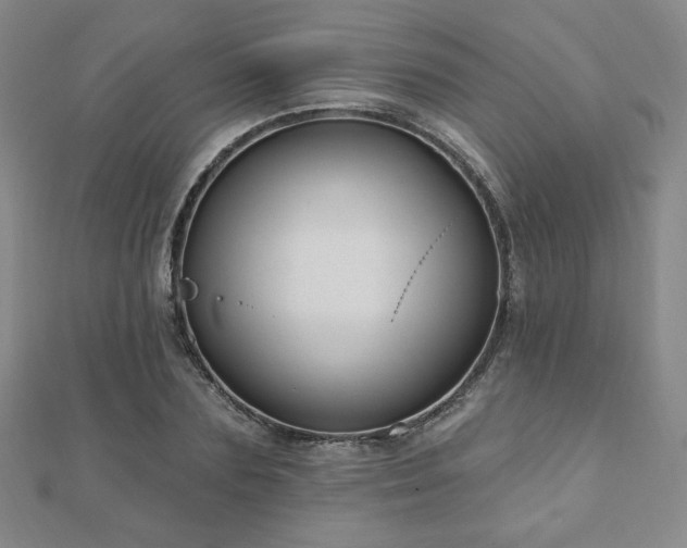 X0000110860883200906181139