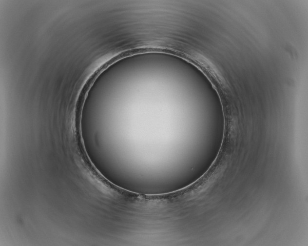X0000110860884200906181139
