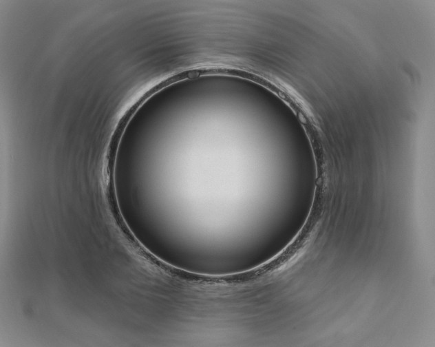 X0000110860885200906181139