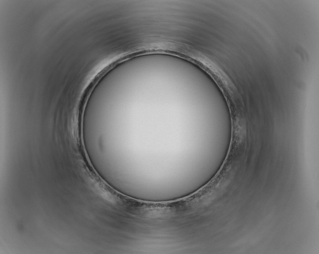 X0000110860886200906181139
