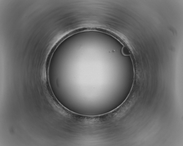 X0000110860887200906181139