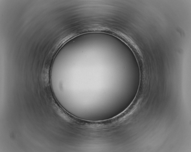 X0000110860889200906181139