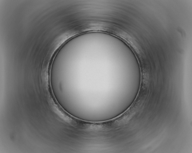 X0000110860890200906181139