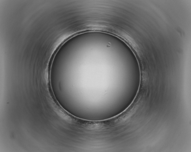 X0000110860891200906181139