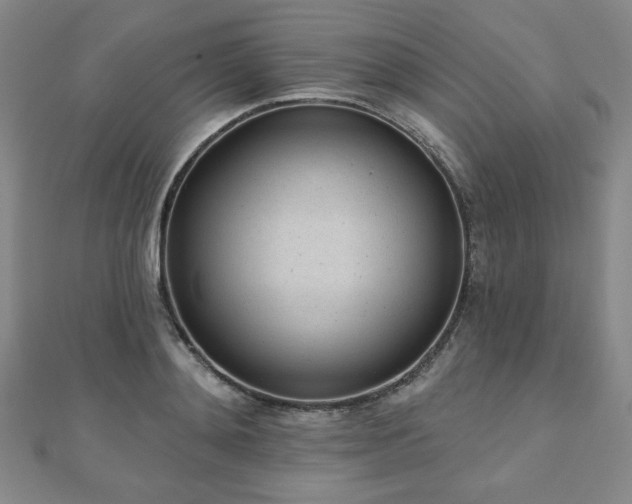 X0000110860892200906181139