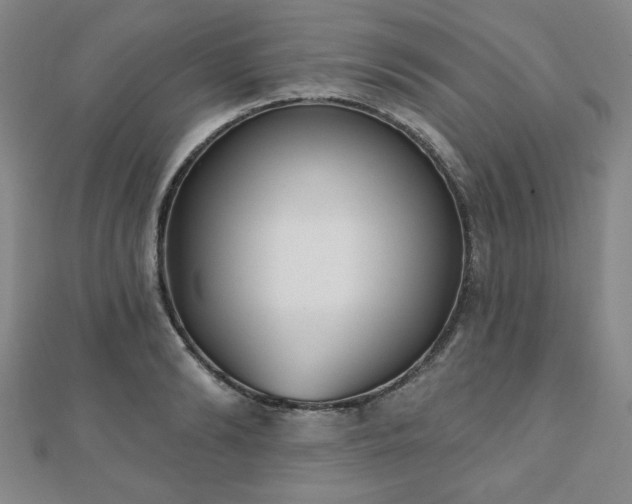 X0000110860894200906181139