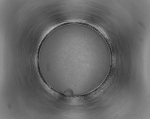 X0000110860895200906181139