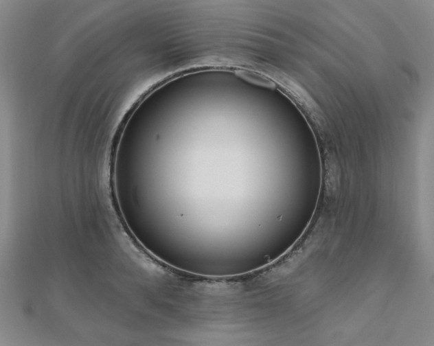 X0000110860896200906181139