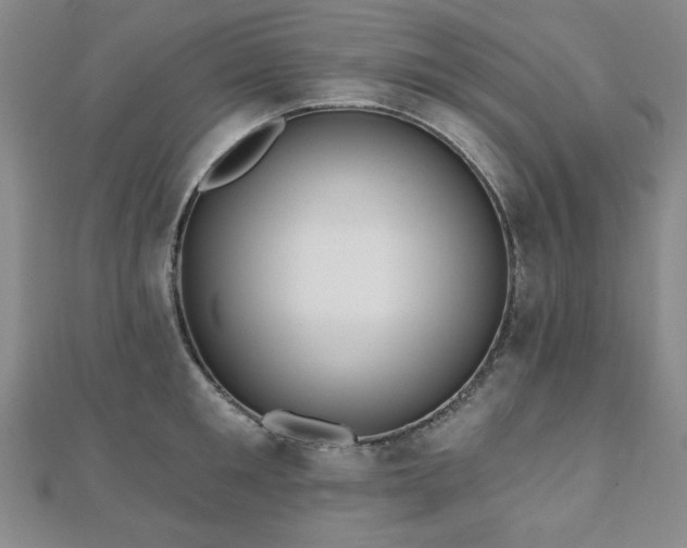 X0000110860901200906181139