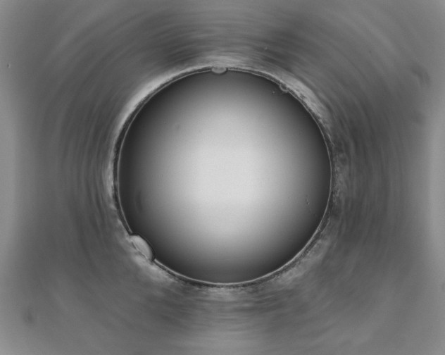 X0000110860904200906181139