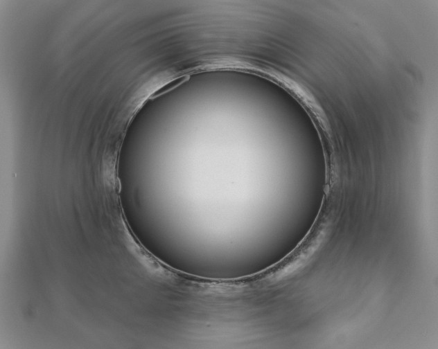 X0000110860905200906181139