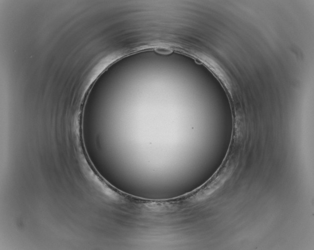 X0000110860906200906181138