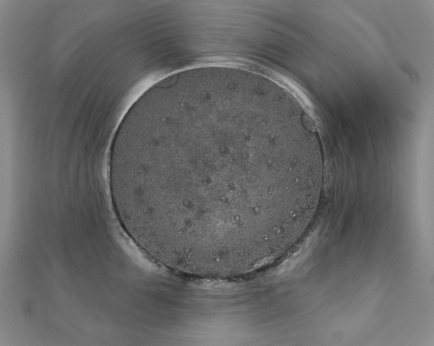 X0000110860907200906181138