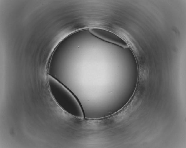 X0000110860908200906181138