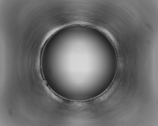 X0000110860910200906181138