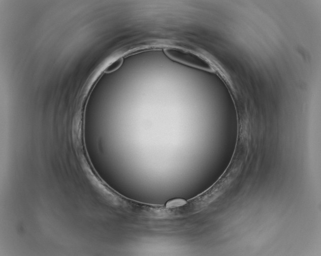 X0000110860911200906181138
