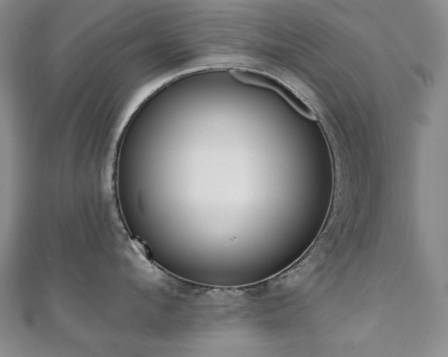 X0000110860912200906181138