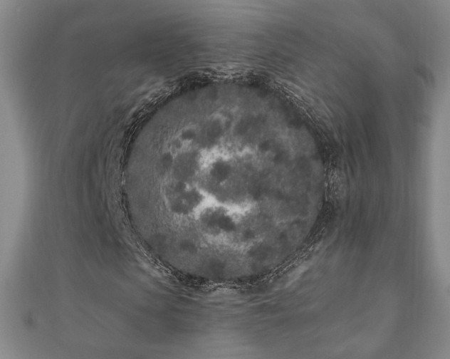 X0000110860913200906181138