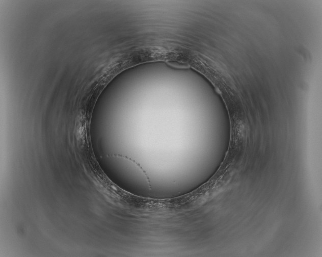 X0000110860914200906181138