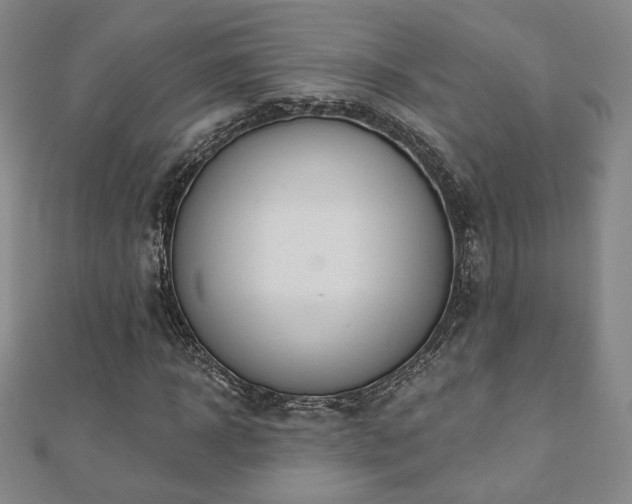 X0000110860918200906181138
