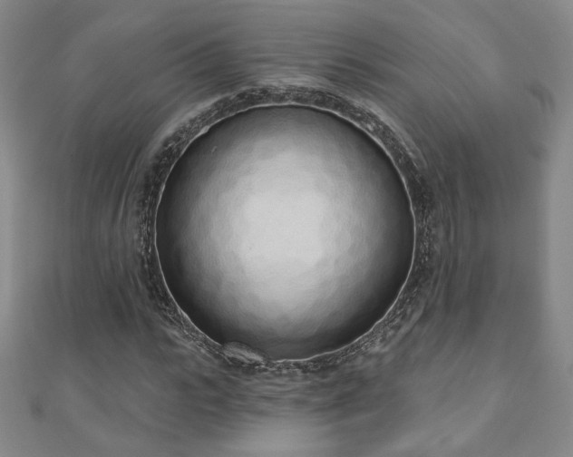 X0000110860919200906181138