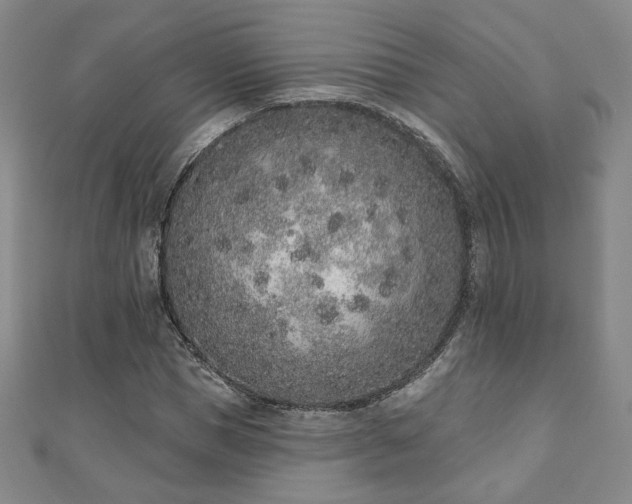 X0000110860921200906181138
