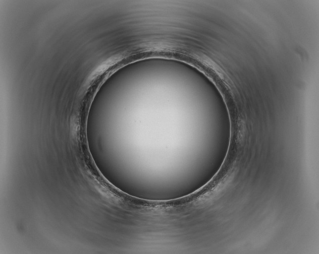 X0000110860922200906181138