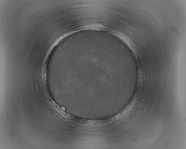 X0000110860923200906181138
