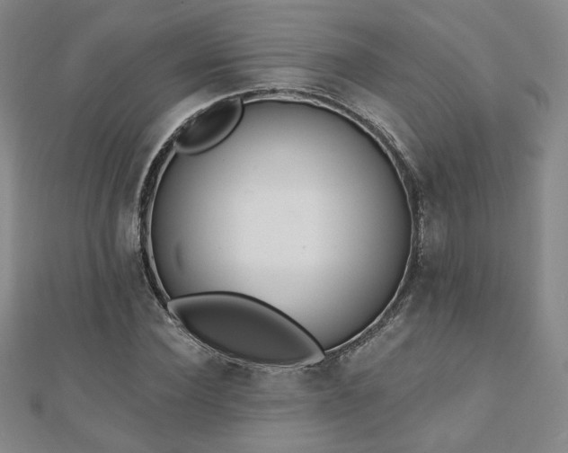 X0000110860924200906181138