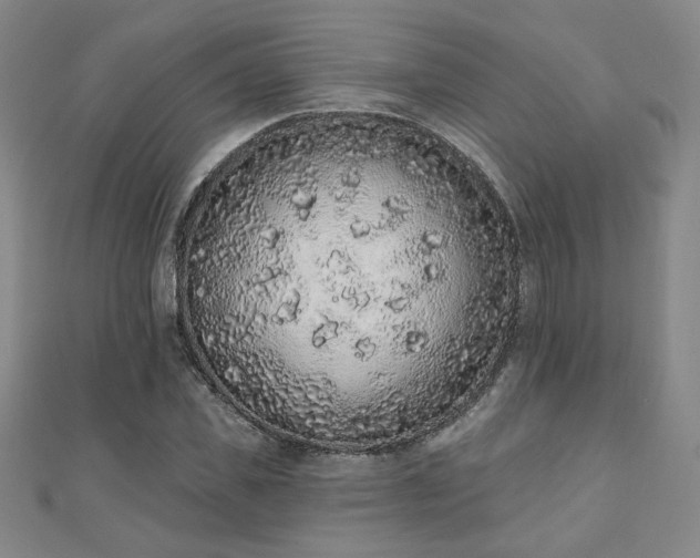X0000110860925200906181138