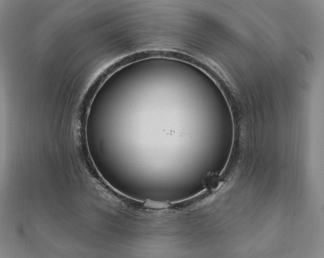 X0000110860926200906181138