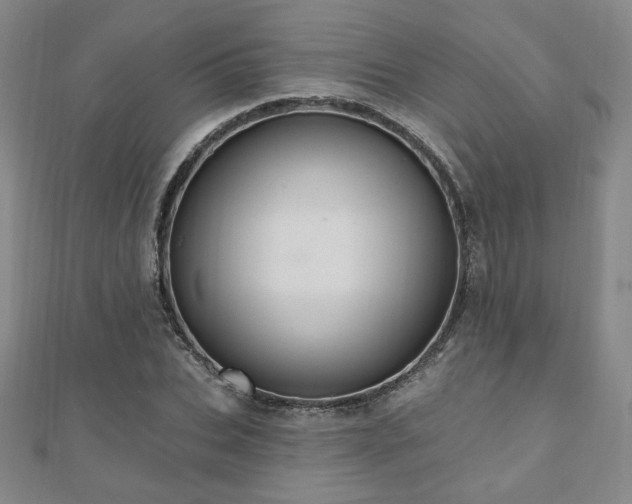 X0000110860927200906181138