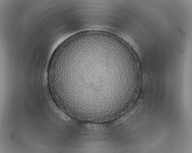 X0000110860928200906181138