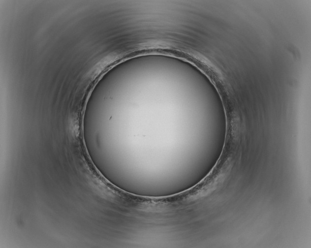 X0000110860929200906181138