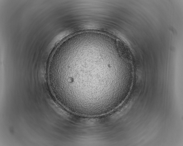 X0000110860930200906181138