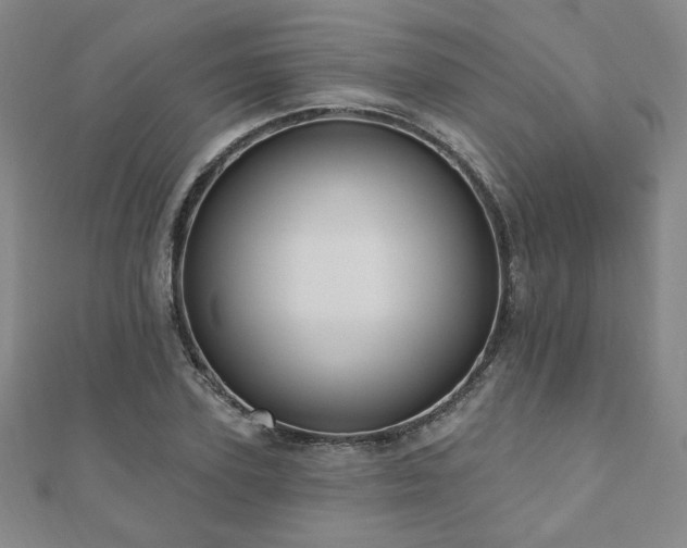 X0000110860931200906181138