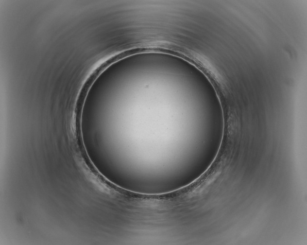 X0000110860932200906181138