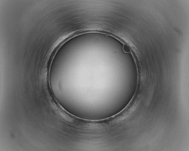 X0000110860933200906181138