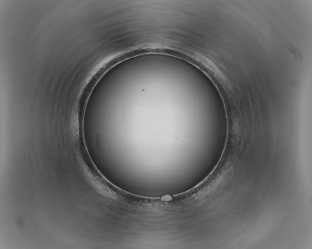 X0000110860934200906181138