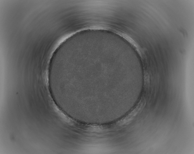 X0000110860935200906181138