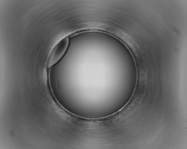 X0000110860936200906181138