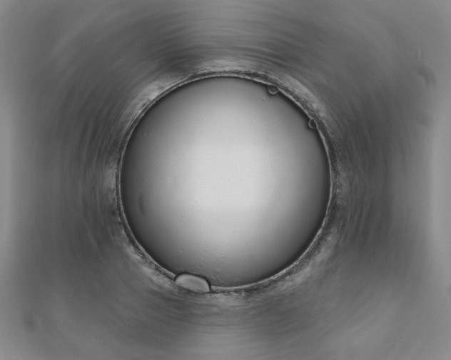 X0000110860937200906181138