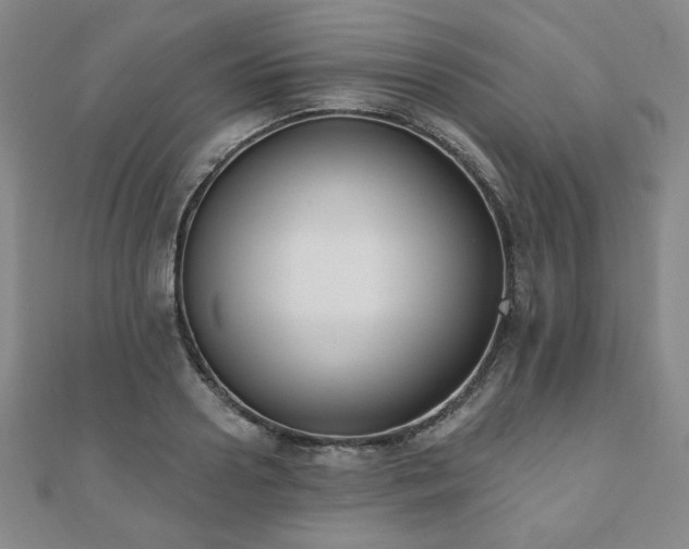 X0000110860938200906181138