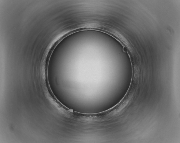 X0000110860939200906181138