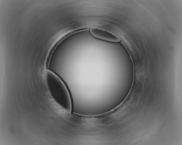X0000110860940200906181138