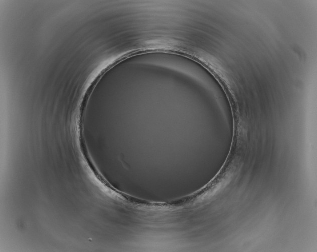 X0000110860941200906181138