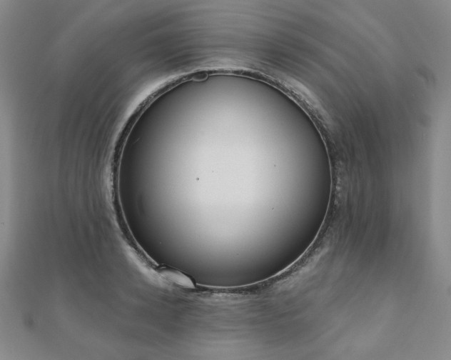 X0000110860942200906181138